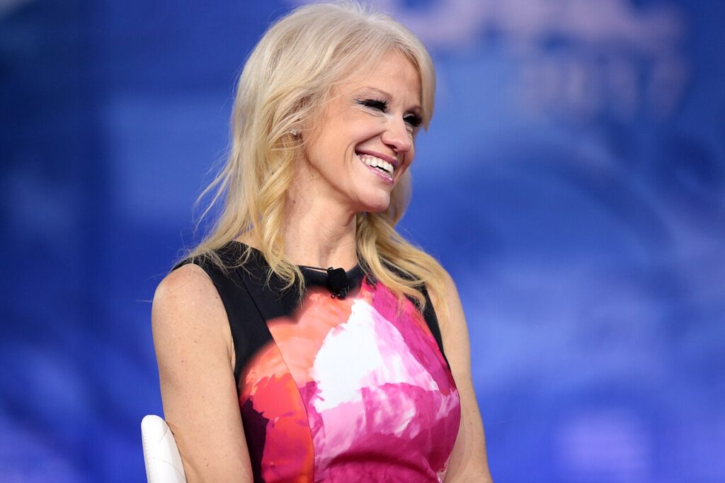 Kellyanne Conway Told Fox News the One Question That Will Decide the Midterms